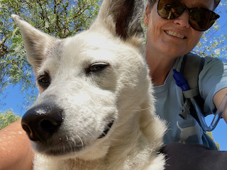 A person spending time with a dog